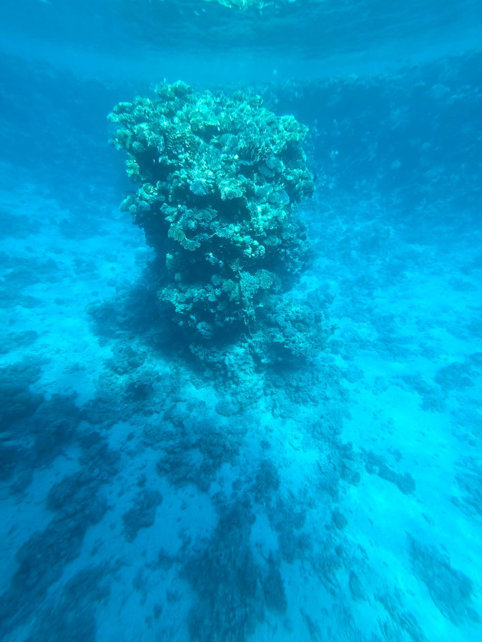 Шарм Ел Шейх Египет - Image 3